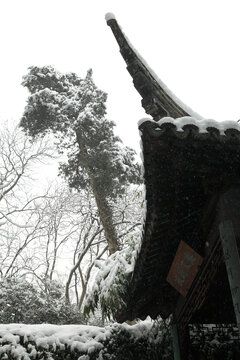 园林雪景