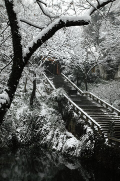 登山台阶