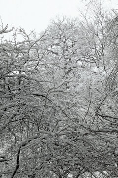 冰天雪地