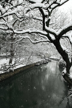 江南雪景