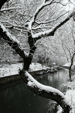 水乡雪景