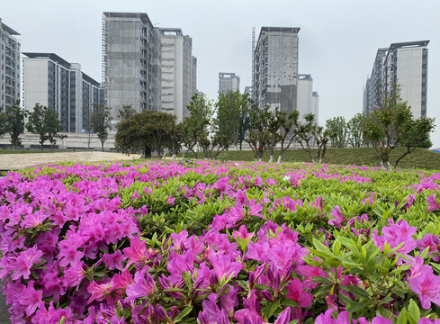 住宅环境园林景观