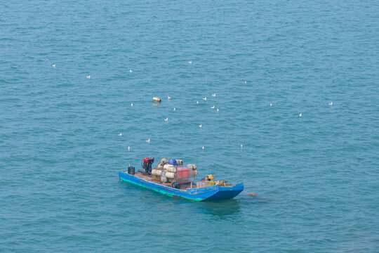渔船海鸥