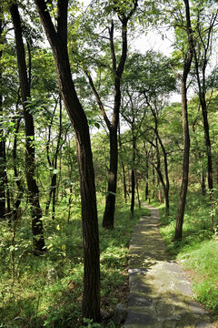 河北省石家庄市灵寿县秋山风景区