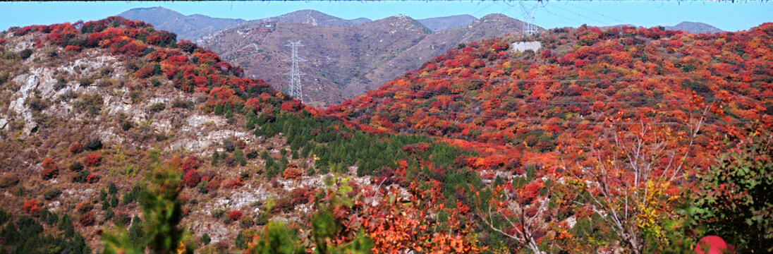 北京顺义舞彩浅山红叶