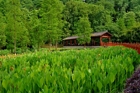 重庆彩云湖国家湿地公园