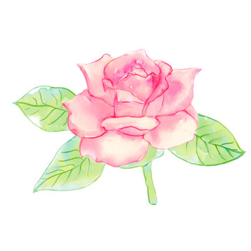 水彩手繪小清新玫瑰花圖案插畫(huà)