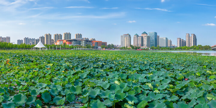 扬州明月湖城市环境