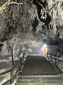 四川峨眉山夜晚雪景