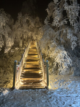 四川峨眉山夜晚雪景