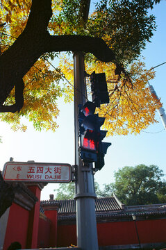 北京五四大街秋景