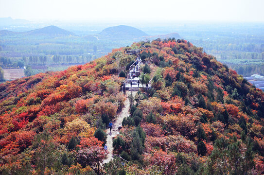 北京顺义舞彩浅山红叶