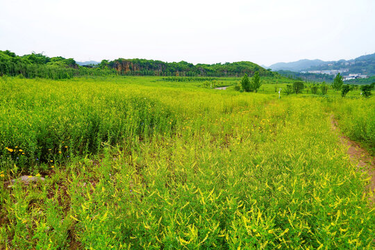 重庆南山南矿山公园