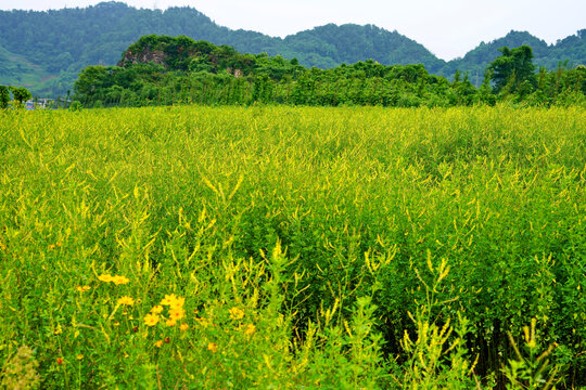 重庆南山南矿山公园