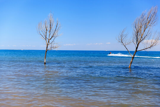 青海湖风光