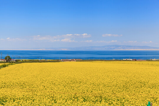 夏季青海湖