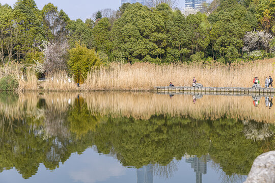 贵阳市观山湖公园著名景点秋色