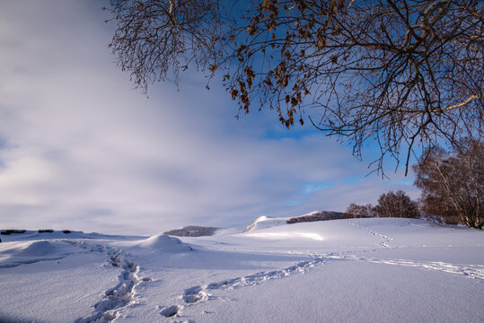 坝上雪景