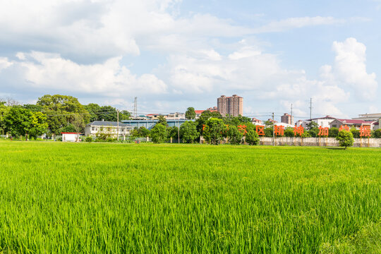 赣州瑞金红井苏区精神