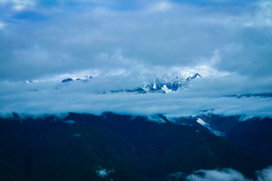 云南白马雪山