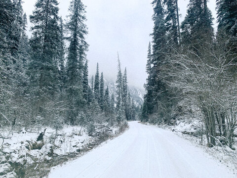 森林公路雪景