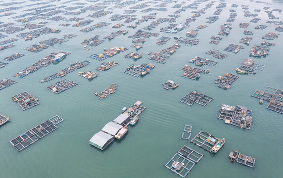 广东海陵岛蒲鱼洲湾海上养殖设施