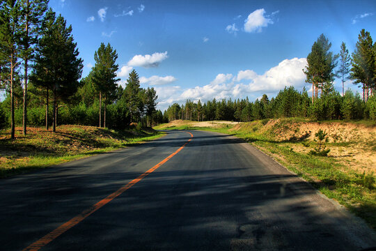 阿尔山草原公路