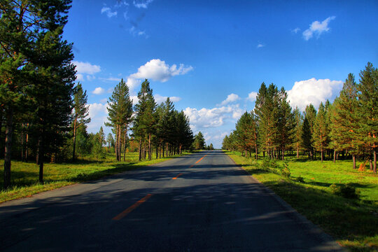 阿尔山草原公路