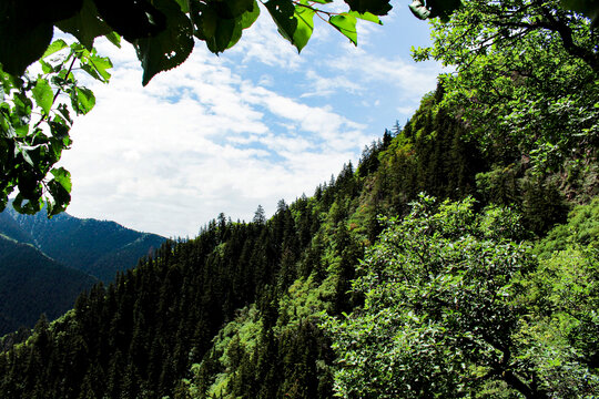 兰州兴隆山