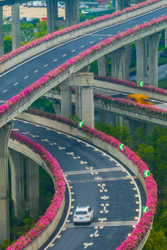 航拍下的杭州高架桥月季花