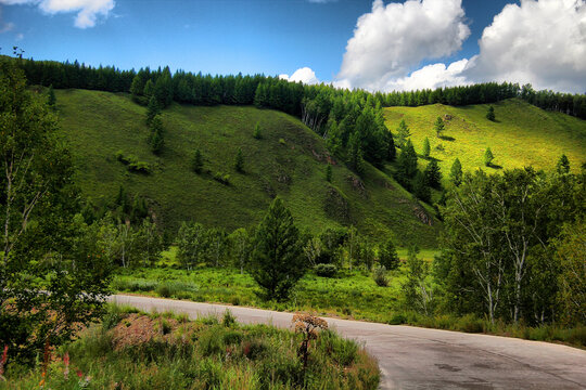 阿尔山草原公路