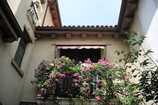 开满蔷薇花的阳台