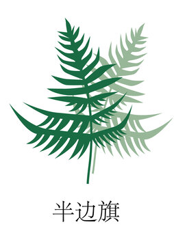 半邊旗