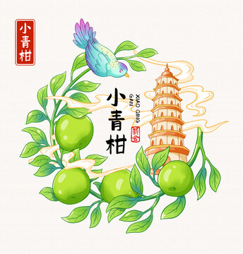 小青柑插畫包裝