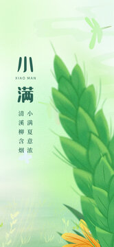 小满节气海报