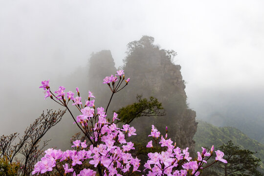 广西金秀圣堂山丹霞险峰雾海景观