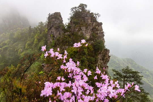 广西金秀圣堂山丹霞险峰雾海景观