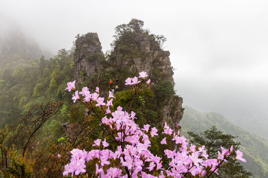 广西金秀圣堂山丹霞险峰雾海景观