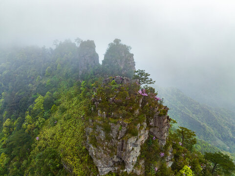 广西金秀圣堂山丹霞险峰雾海景观