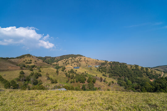 高山草甸户外风光