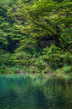 湖泊水景