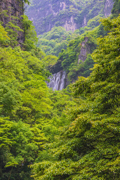 高山流水