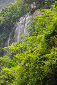 山泉瀑布