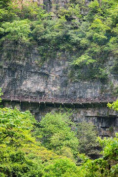 山中栈道