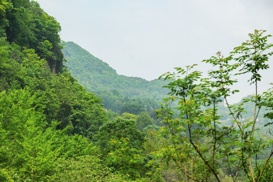 远山叠嶂