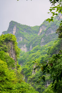 远山风光