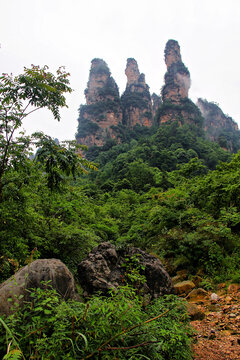 张家界十里画廊山峰林立