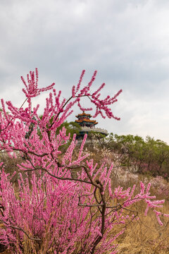 吉林北山