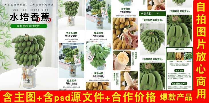 水培香蕉詳情頁(yè)