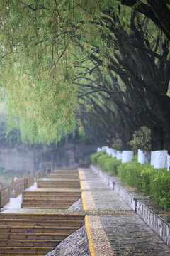 银河公园雾景